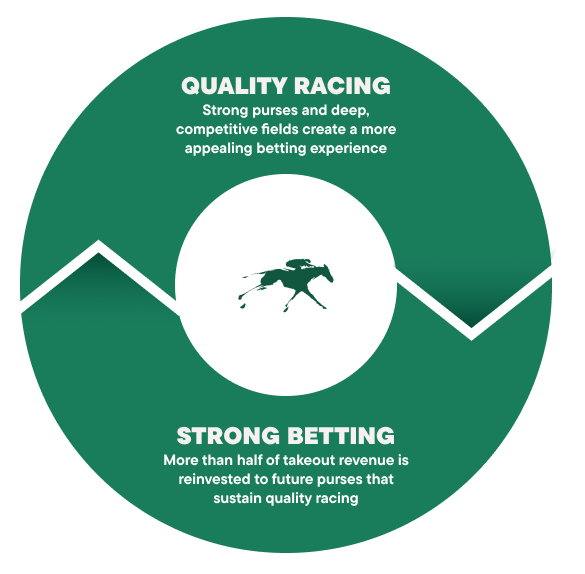 Infographic showing relationship between quality racing and strong betting