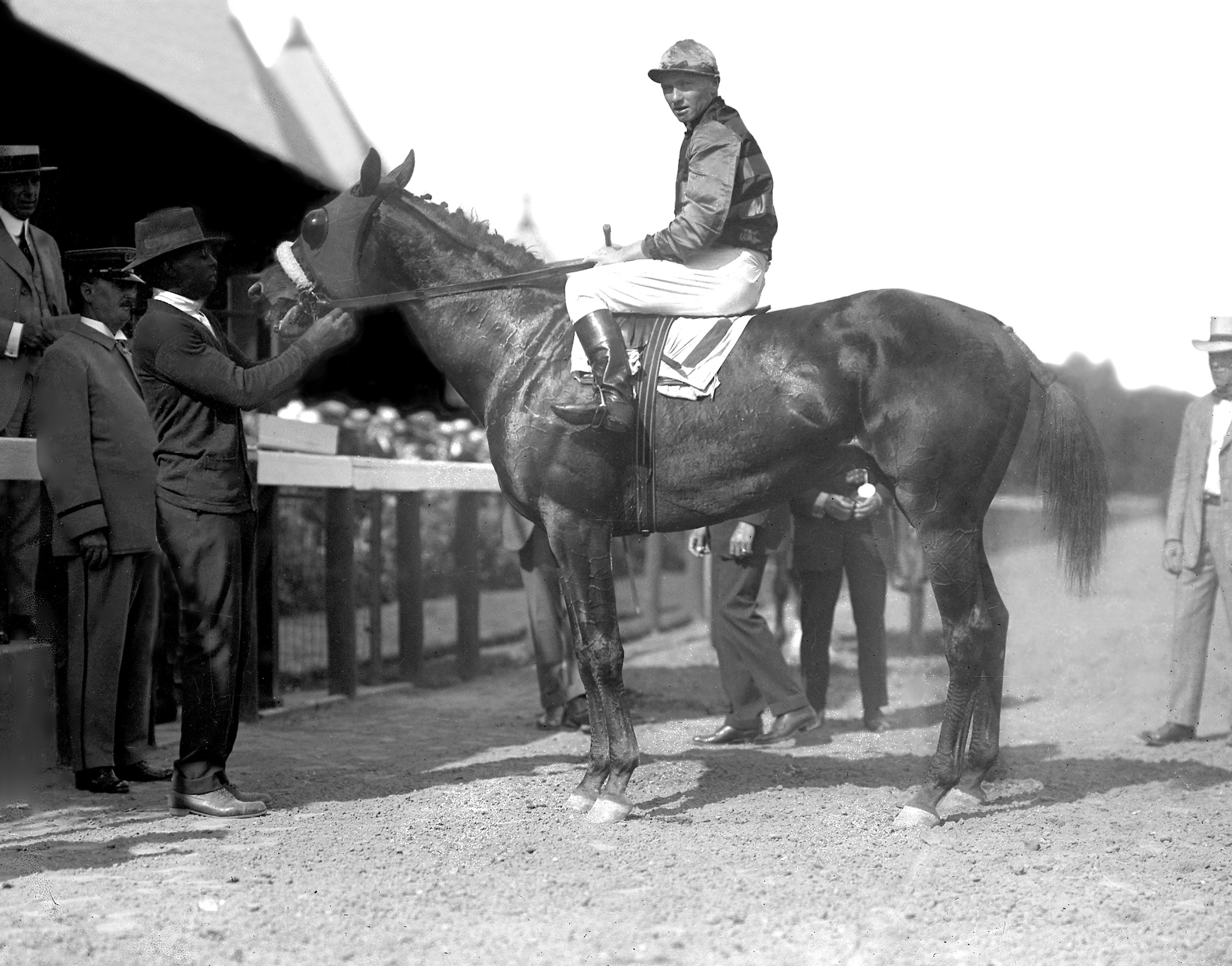 Keeneland Library Cook Collection - 3422 - Earl Sande on Sir Barton, undated