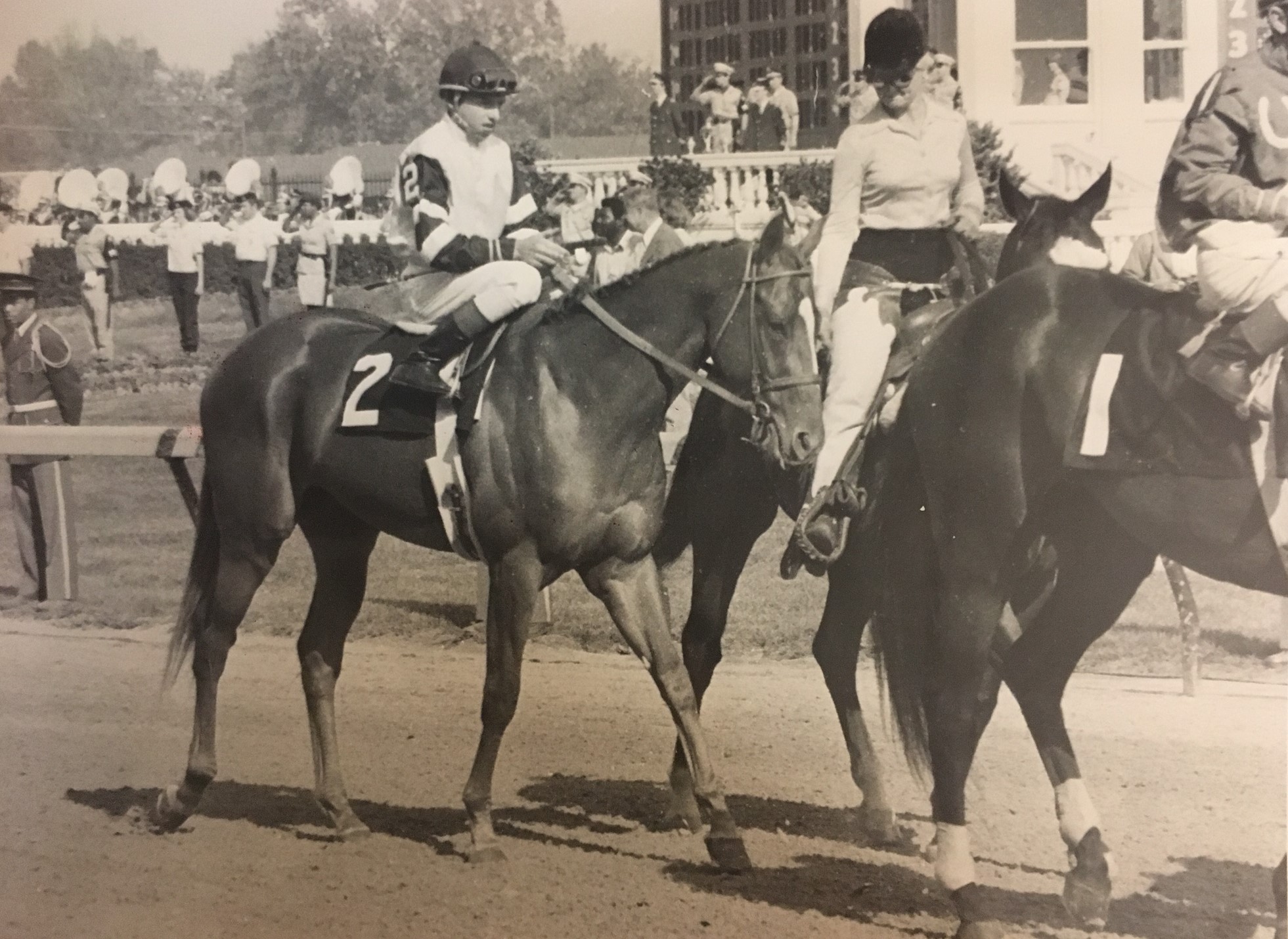 Affirmed in 1978 Kentucky Derby post parade