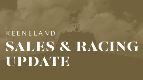 2020 Sales & Racing Update