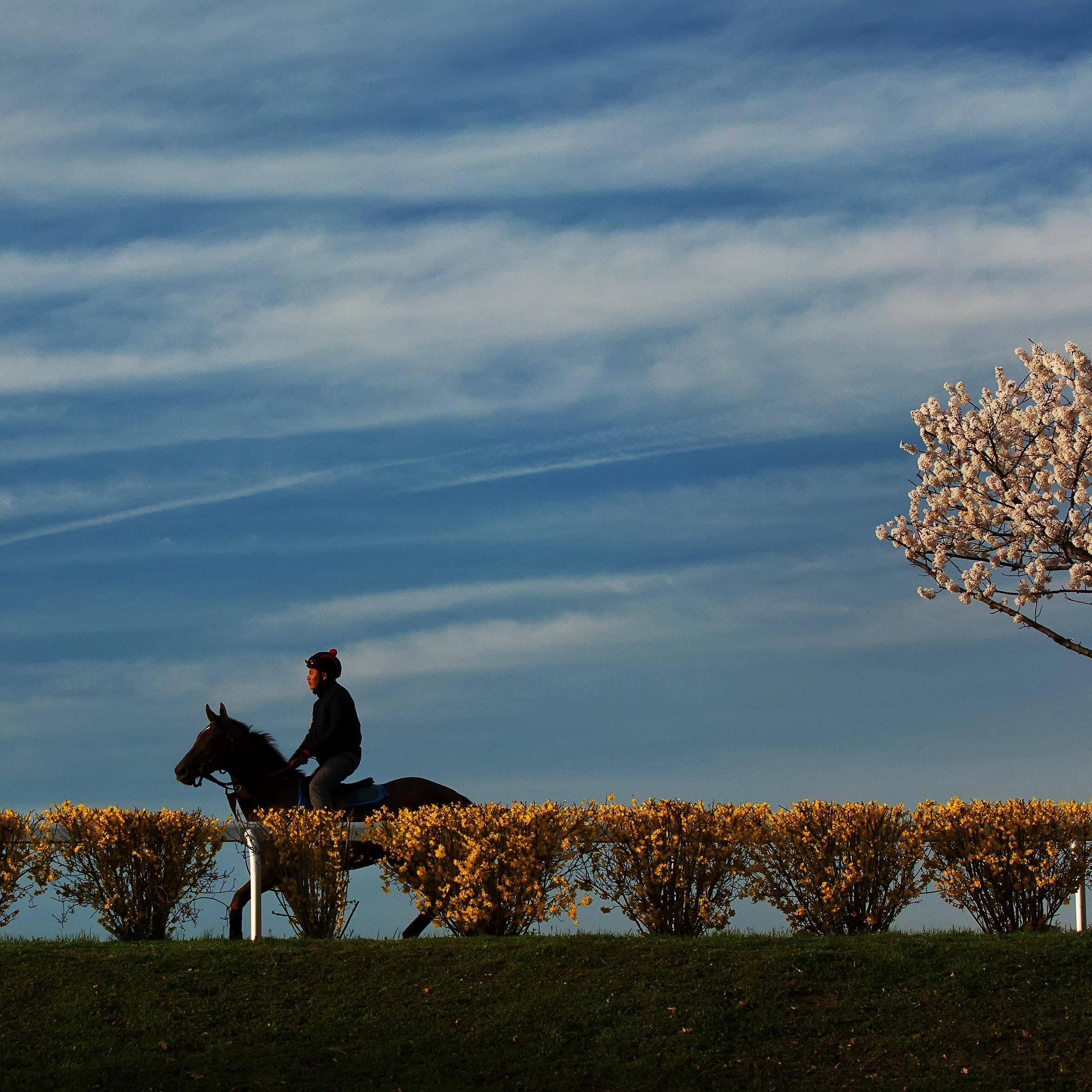 spring racing