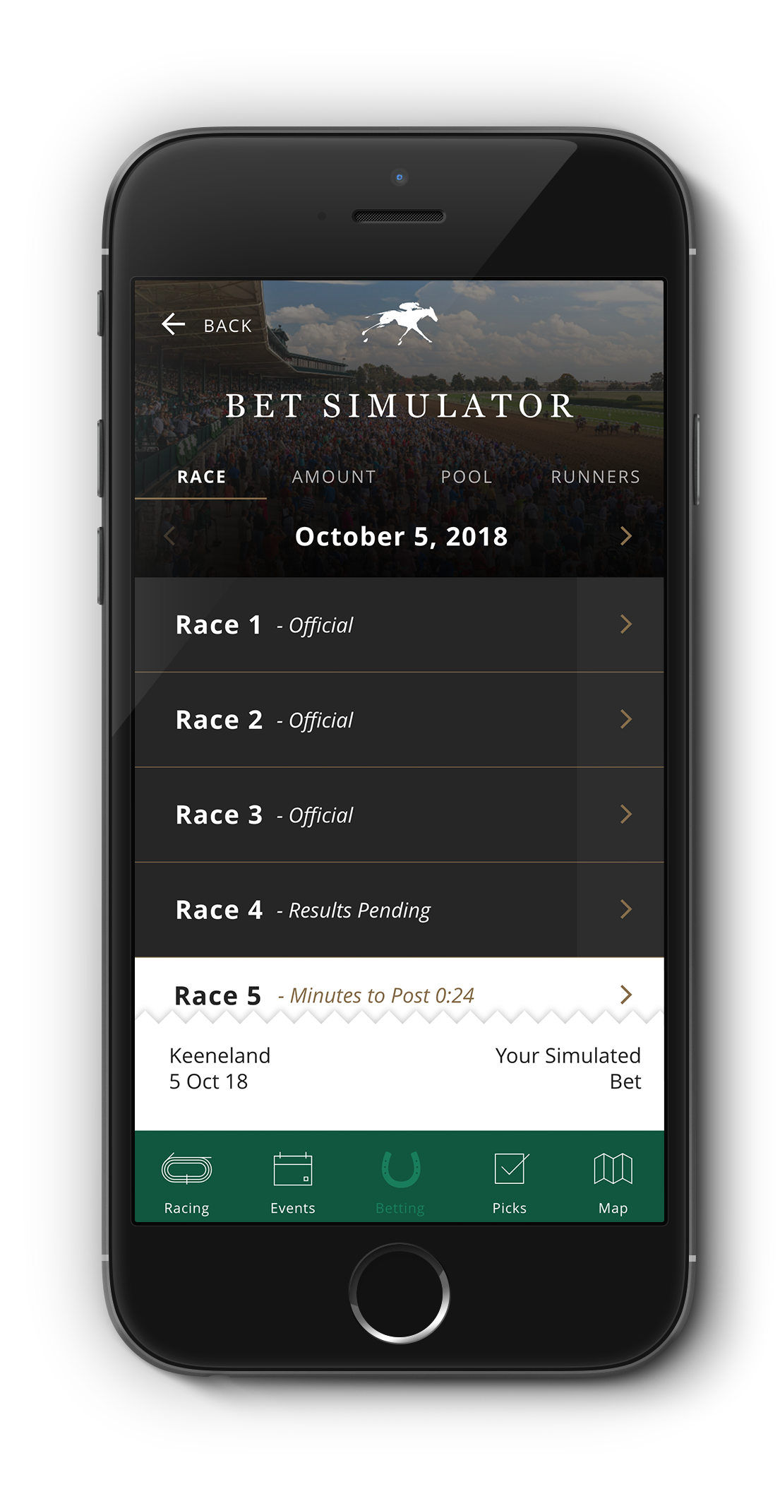 sports betting system simulator