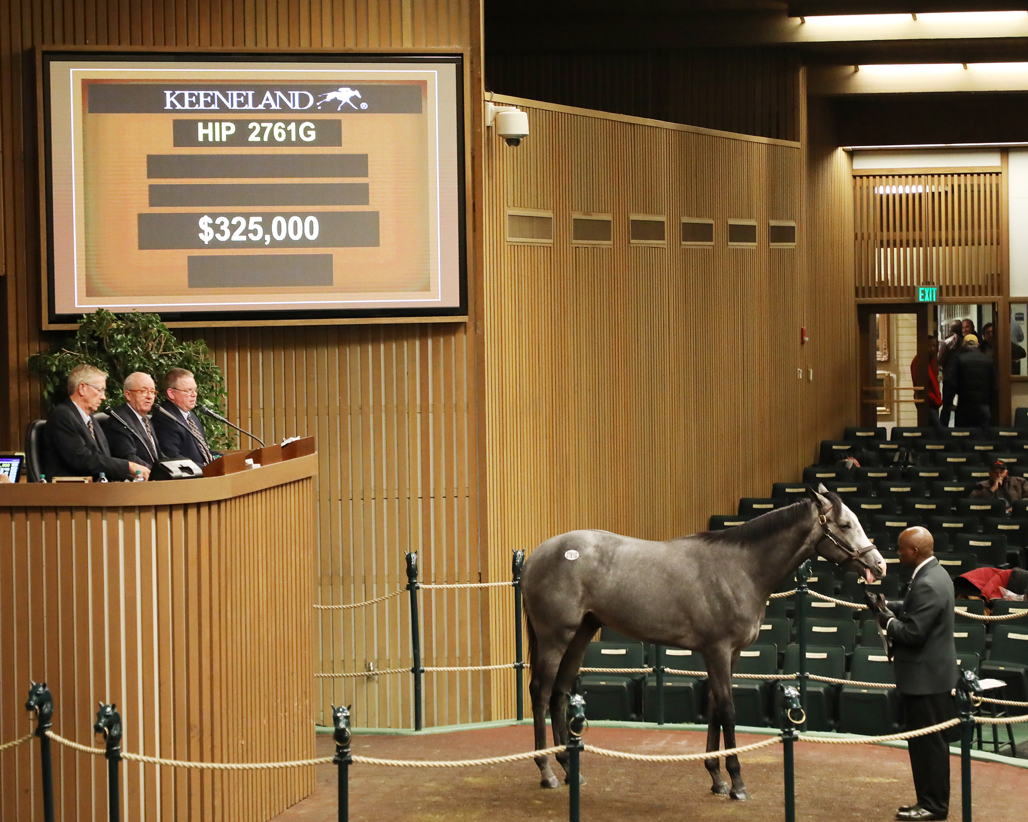 Recent Keeneland Winner Liam S Legend Brings 325 000 Tuesday At Keeneland November Breeding Stock Sale Keeneland