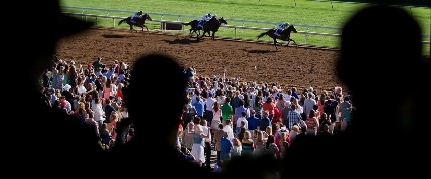 Group Reservations in Reserved Grandstand Seating | Keeneland