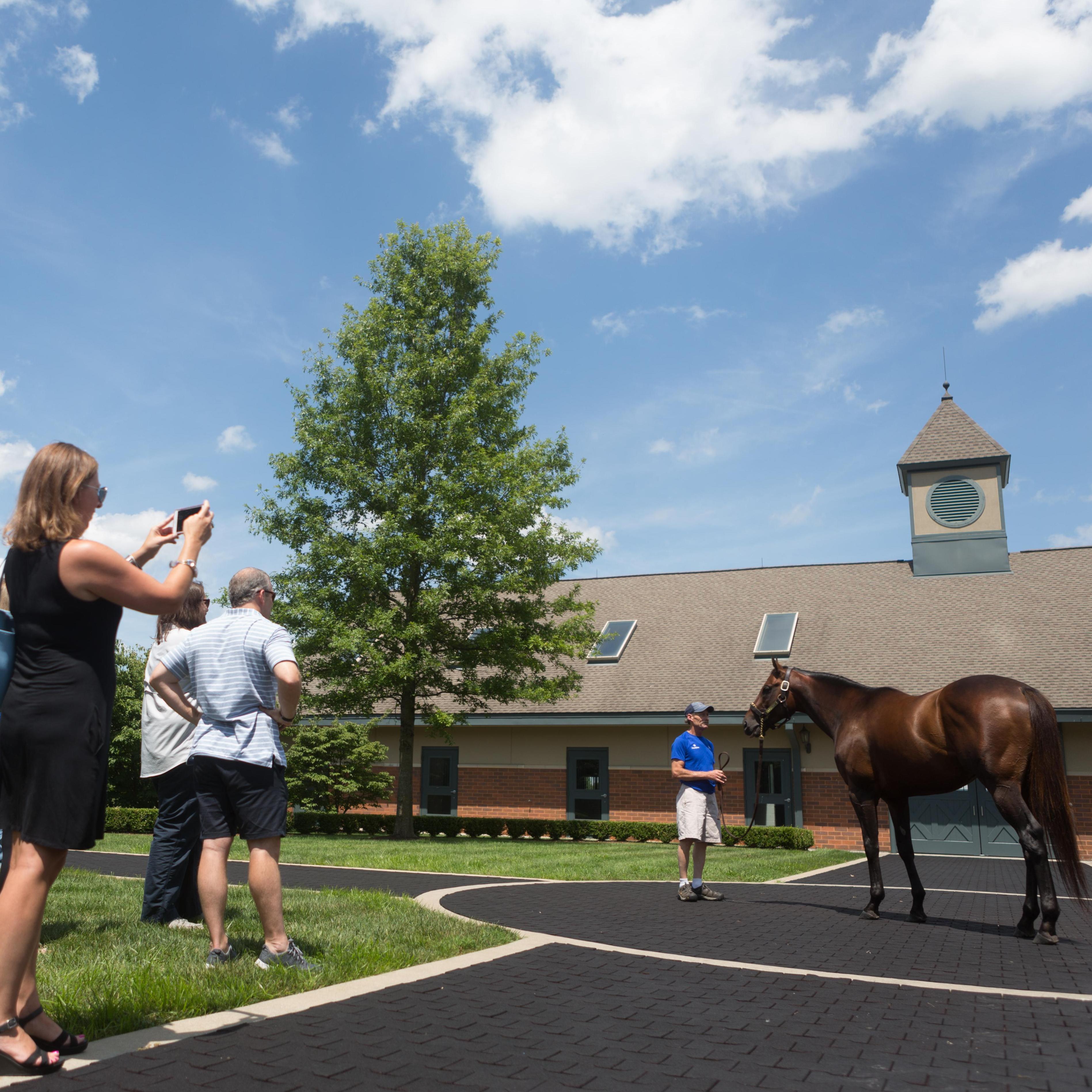 horse farm