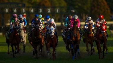 Keeneland To Award Record 5 675 Million In Stakes Purses For 2019 Fall Meet Keeneland