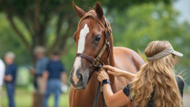 Keeneland To Delay Start Of Book 1 Sessions Of September Yearling Sale Keeneland