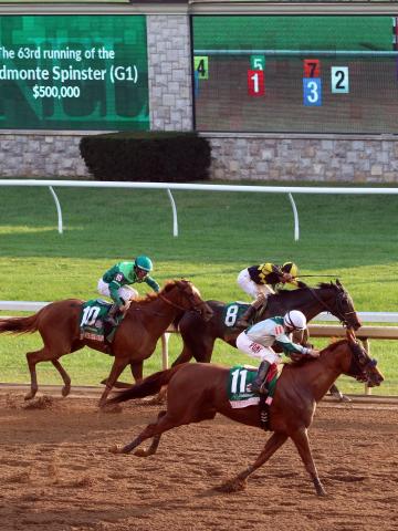 500 000 Juddmonte Spinster G1 Keeneland