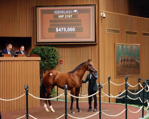 Hip 2179 sells for $475,000