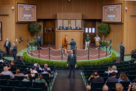 $5 million sale topper at Keeneland September