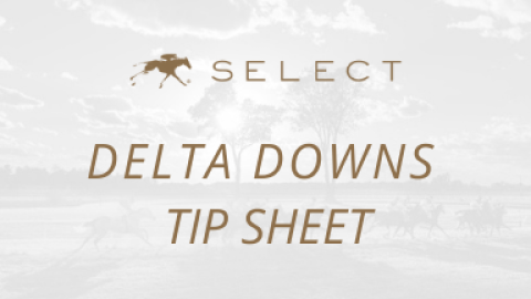Delta Downs Tip Sheet