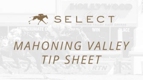 Mahoning Valley Tip Sheet