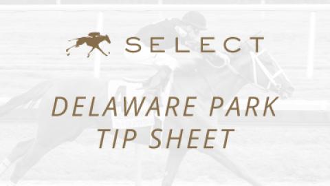 Delaware Park Tip Sheet 