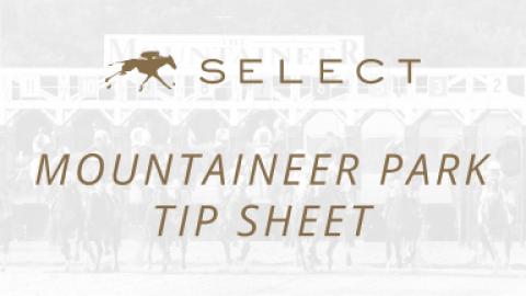 Mountaineer Tip Sheet