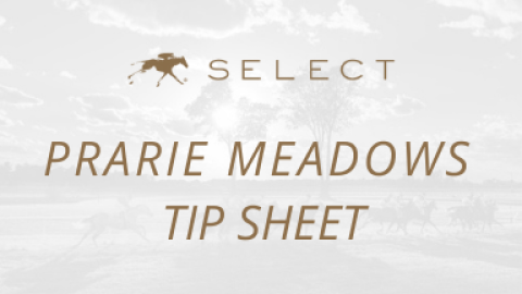 Prairie Meadows Tip Sheet