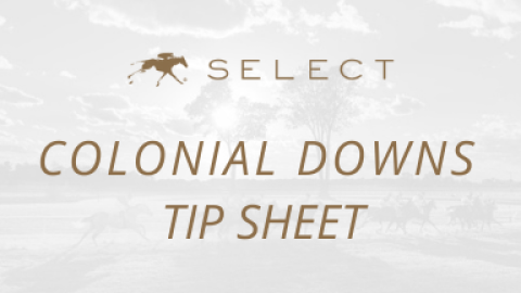 Colonial Downs Tip Sheet