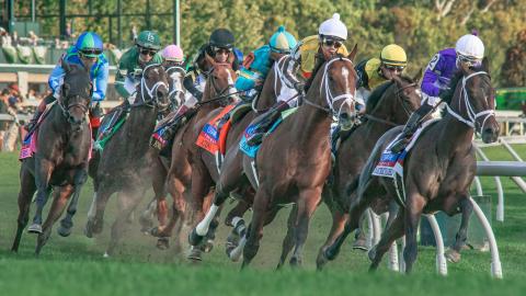 coolmore turf mile