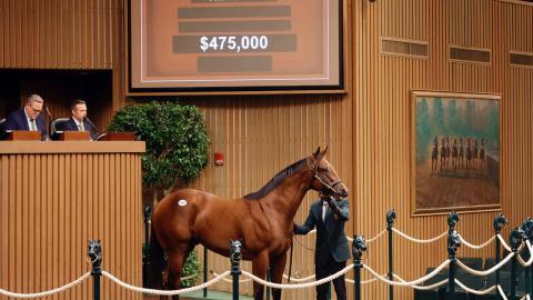 Hip 2179 sells for $475,000