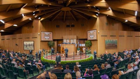 Keeneland sales ring $5 million sale