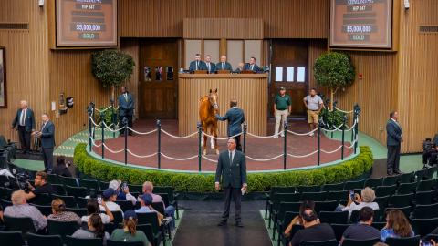 $5 million sale topper at Keeneland September