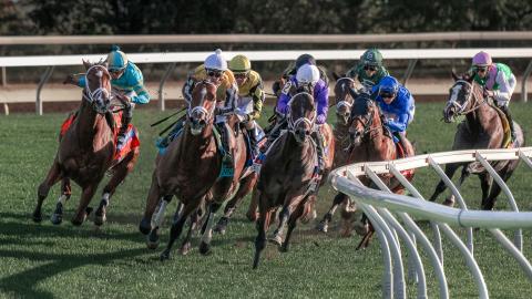 coolmore turf mile