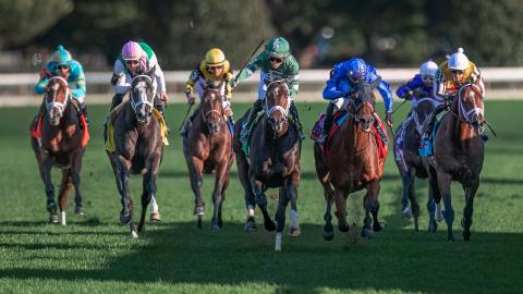 coolmore turf mile