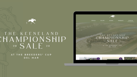 championship sale