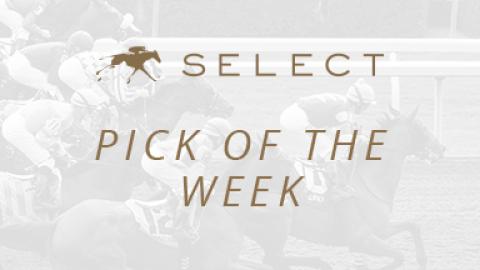 Keeneland Select Pick of the Week