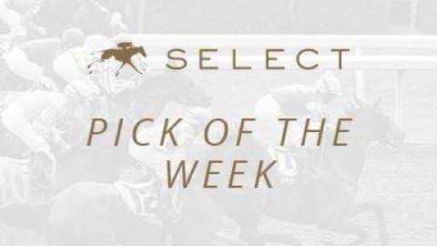 Select Pick of the Week