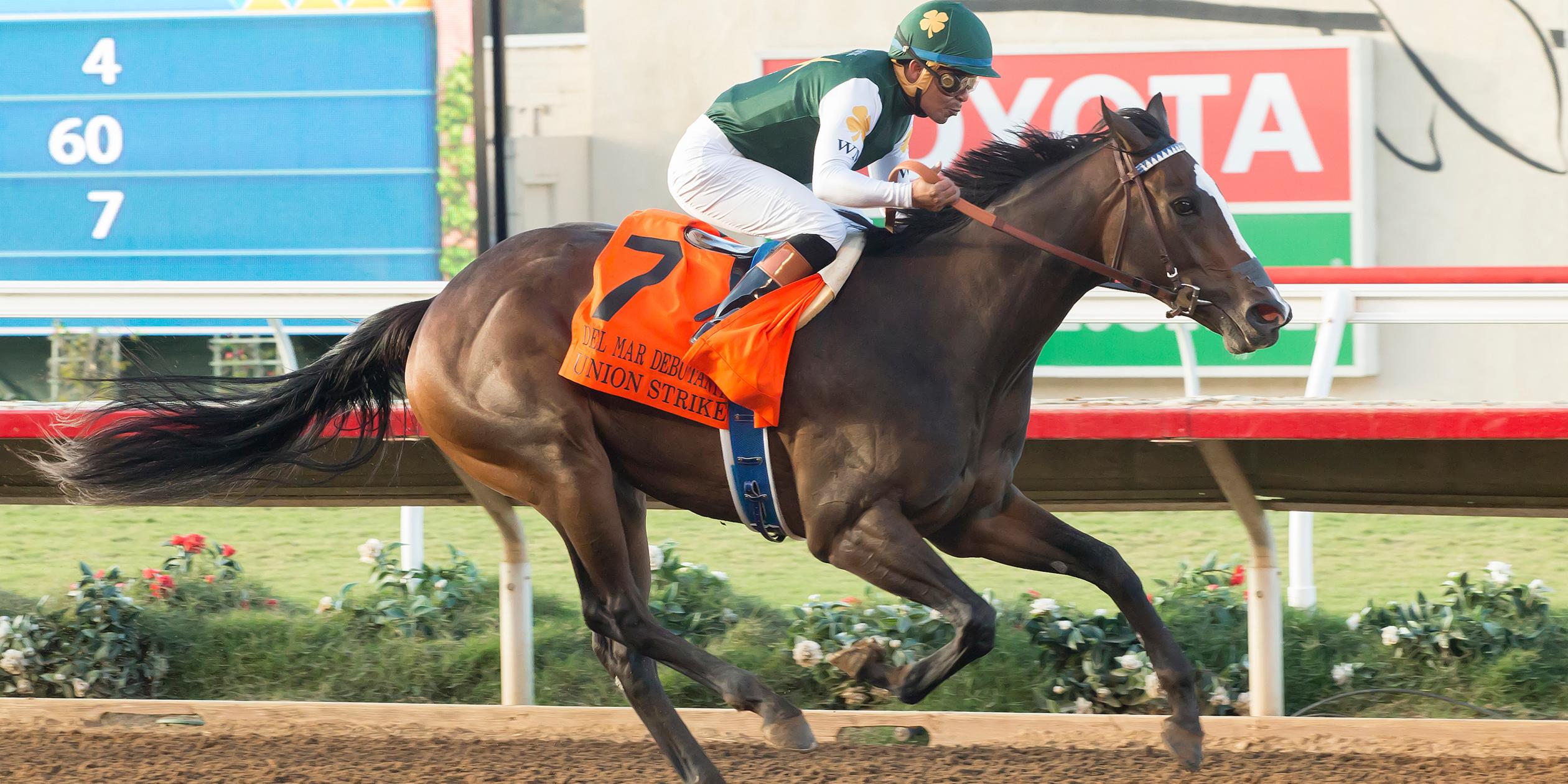 Grade 1 Winner Union Strike Cataloged To Keeneland November Sale Keeneland